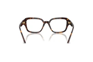 Bagside Swarovski SK2039 (1002)