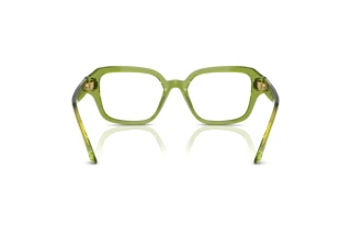 Bagside Swarovski SK2039 (3002)