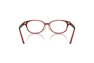 Bagside Swarovski SK2040D (1055)