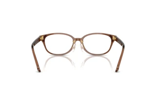 Bagside Swarovski SK2040D (1067)