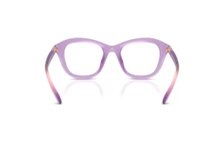 Bagside Swarovski SK2042U (1075)