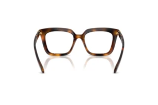 Bagside Swarovski SK2043 (1002)