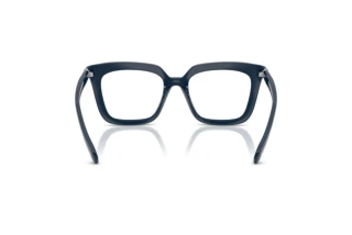 Bagside Swarovski SK2043 (1004)