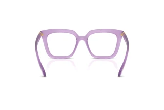 Bagside Swarovski SK2043 (1075)