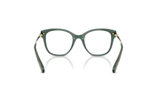 Bagside Swarovski SK2044 (1043)