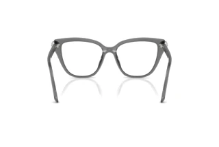 Bagside Swarovski SK2045 (1072)