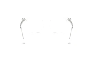 Bagside Swarovski SK2046 (1027)