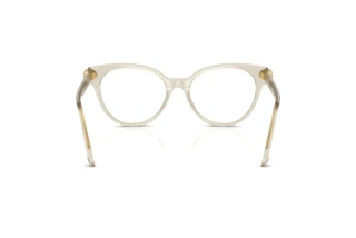 Bagside Swarovski SK2046 (3003)