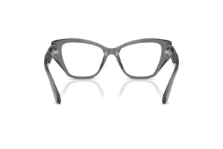 Bagside Swarovski SK2050U (1072)