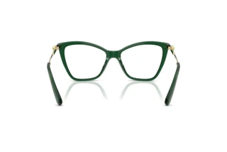 Bagside Swarovski SK2051 (1045)