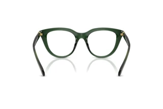 Bagside Swarovski SK2052 (1043)