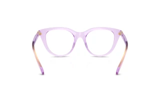 Bagside Swarovski SK2052 (1079)