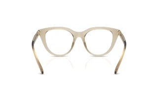 Bagside Swarovski SK2052 (3003)