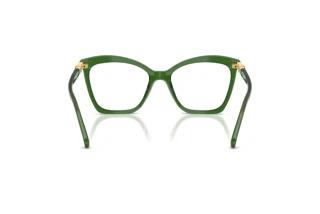 Bagside Swarovski SK2053 (1081)