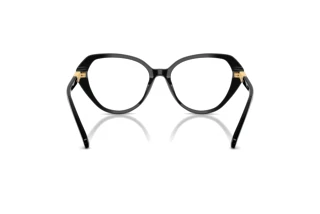 Bagside Swarovski SK2054 (1001)