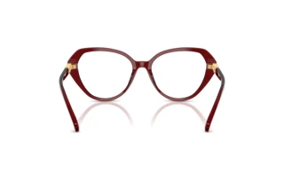 Bagside Swarovski SK2054 (1073)