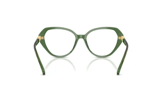 Bagside Swarovski SK2054 (1085)