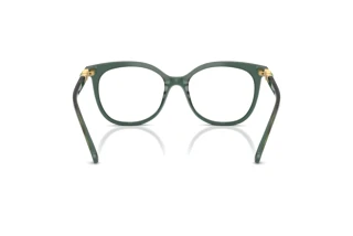 Bagside Swarovski SK2055 (1043)