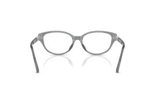 Bagside Swarovski SK2058D (1062)