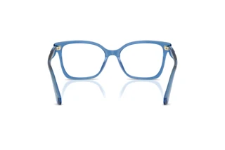 Bagside Swarovski SK2061 (1100)