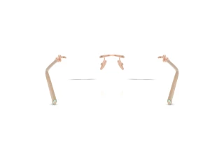 Bagside Tiffany TF1170D (6105)