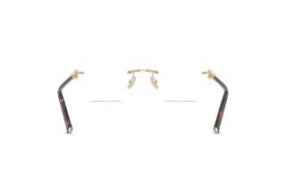 Bagside Tiffany TF1170D (6189)