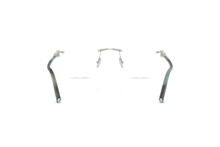 Bagside Tiffany TF1173K (6213)