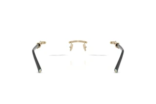 Bagside Tiffany TF1178 (6021)