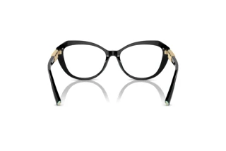 Bagside Tiffany TF2241B (8001)