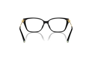 Bagside Tiffany TF2248K (8402)