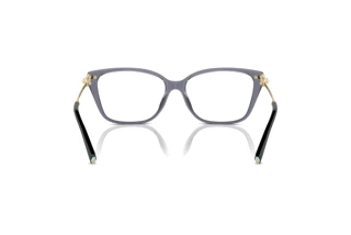 Bagside Tiffany TF2248K (8405)