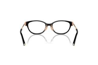 Bagside Tiffany TF2252D (8420)