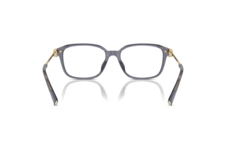 Bagside Tiffany TF2253D (8405)