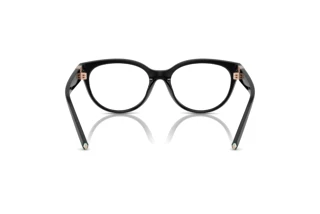 Bagside Tiffany TF2258BU (8240)