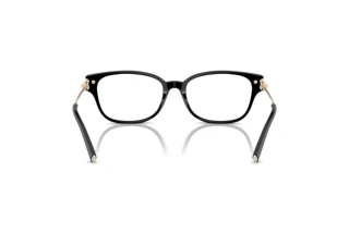 Bagside Tiffany TF2262 (8001)