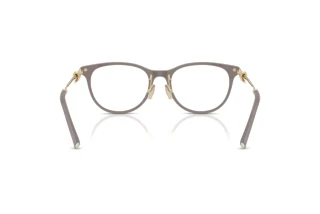 Bagside Tiffany TF2279D (8401)