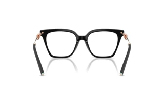 Bagside Tiffany TF2284B (8001)