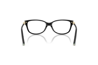 Bagside Tiffany TF2298B (8001)