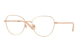 Forfra Versace VE1313D (1412)