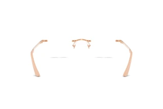 Bagside Versace VE1314D (1412)