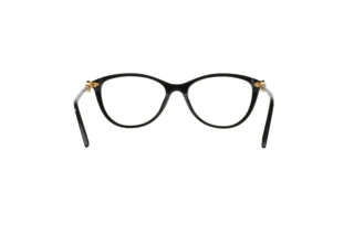 Bagside Versace VE3175 (GB1)