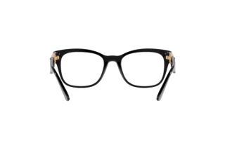 Bagside Versace VE3314 (GB1)