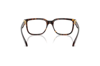 Bagside Versace VE3377U (108)