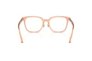 Bagside Versace VE3378D (5526)