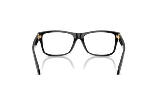 Bagside Versace VE3380 (GB1)