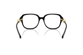 Bagside Versace VE3386D (GB1)