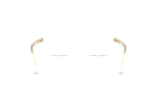 Bagside Versace VE3393D (148)