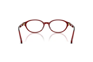 Bagside Versace VE3393D (5540)