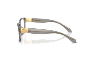 Sidevisning Versace VE3403U (5510)