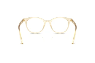 Bagside Versace VE3404D (5556)